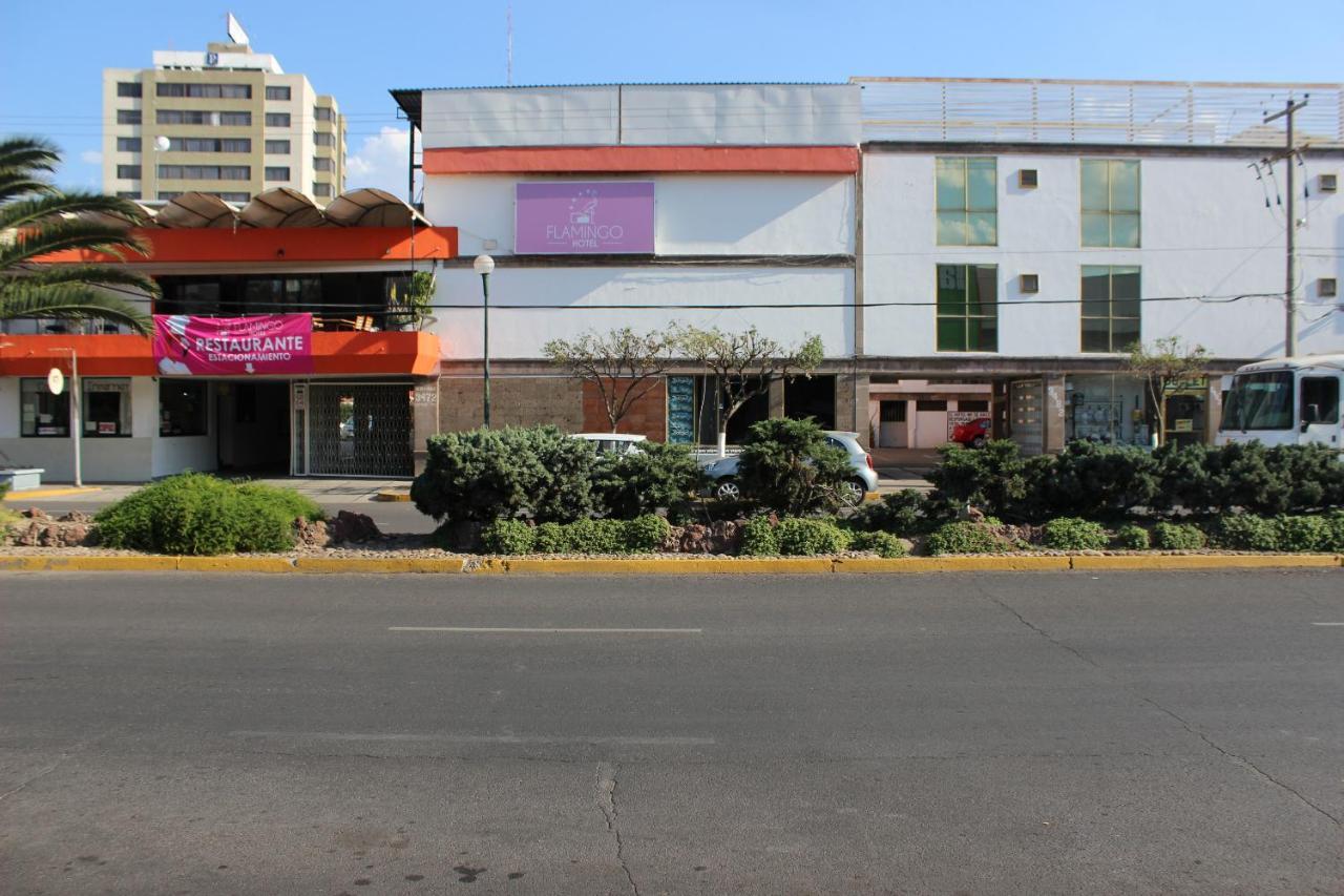 Hotel Flamingo איראפואטו מראה חיצוני תמונה